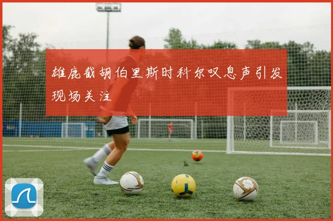 雄鹿截胡伯里斯时科尔叹息声引发现场关注
